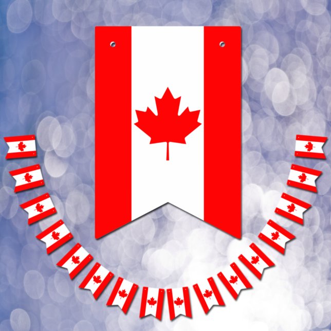 Canada bunting flags, Canadian flag party banners (Creator Uploaded)