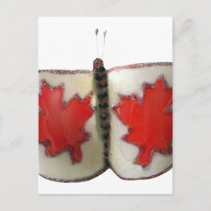Canada Butterfly Postcard