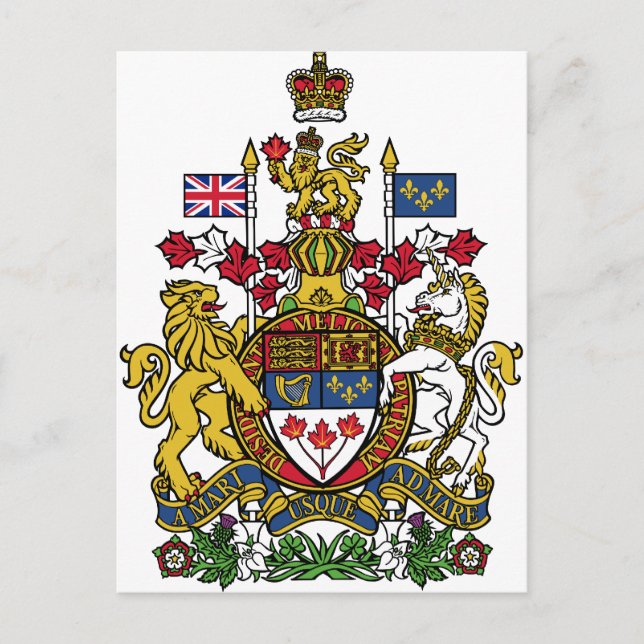 Canada Coat of arms CA Postcard (Front)