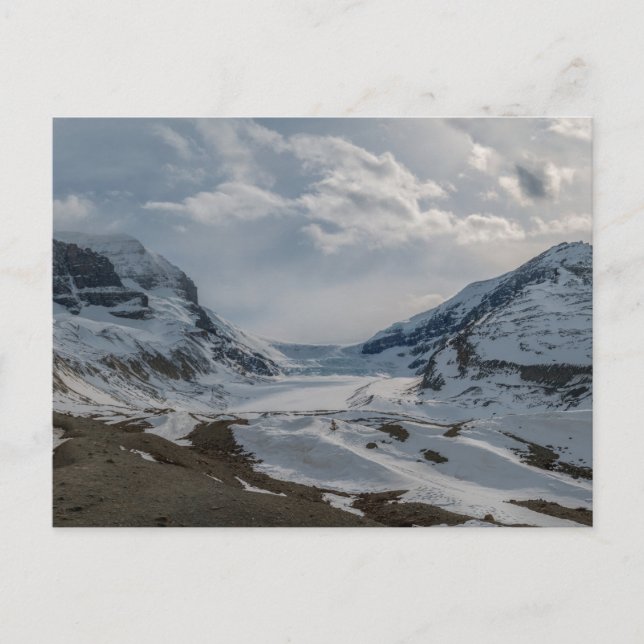 Canada Columbia Icefield Panorama Postcard (Front)
