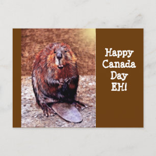 Canada Day Beaver Postcard