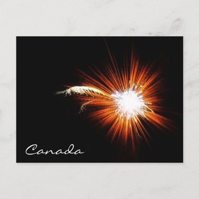 Canada Day Fireworks Postcard (Front)