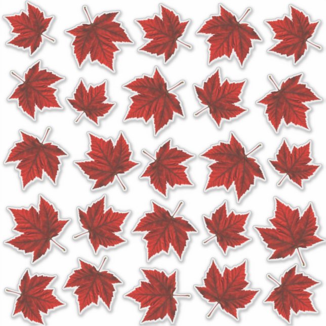Canada Decals Maple Leaf Window Decal Stickers (Front)