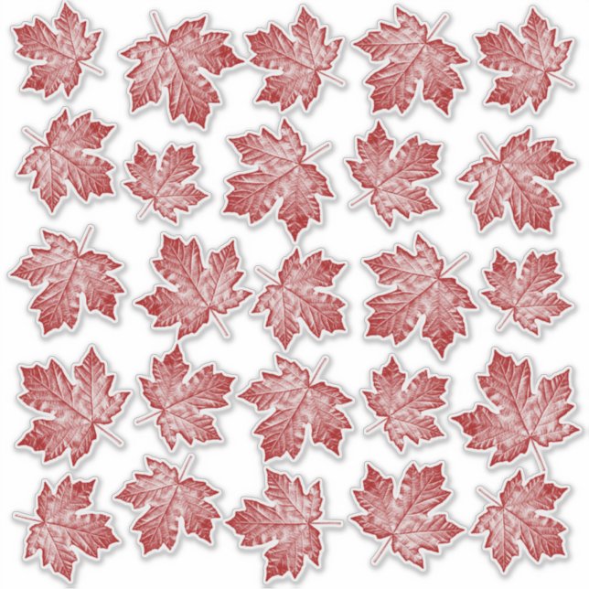 Canada Decals Maple Leaf Window Decal Stickers (Front)
