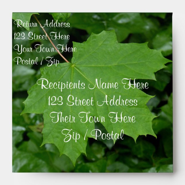 Canada Envelopes Personalised Maple Leaf Envelope (Front)