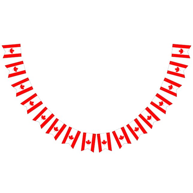 Canada flag bunting banner (All)