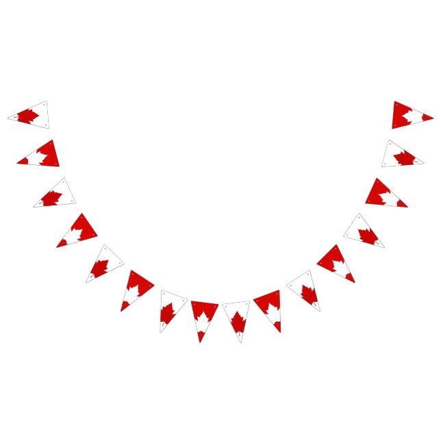 Canada Flag Bunting Banners Canada Day Decorations (All)