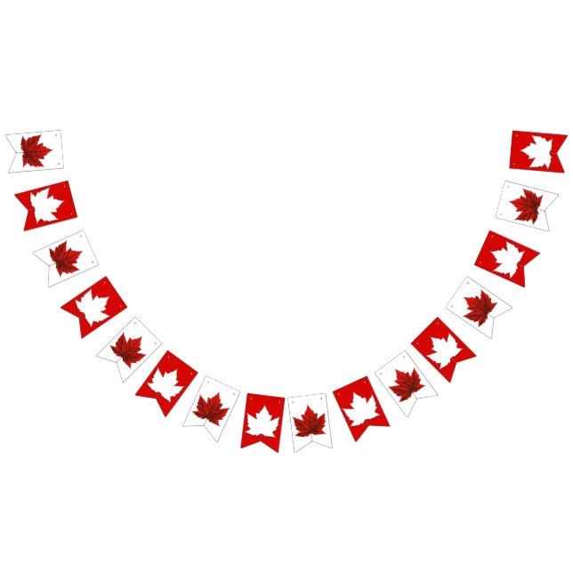 Canada Flag Bunting Banners Canada Souvenir (All)