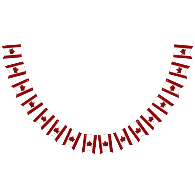 Canada Flag Bunting Banners Canada Souvenir (All)