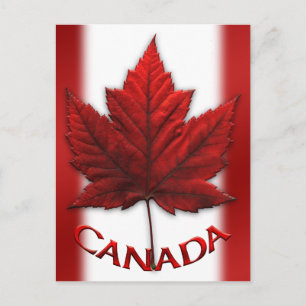Canada Flag Postcards Canadian Souvenir Postcards
