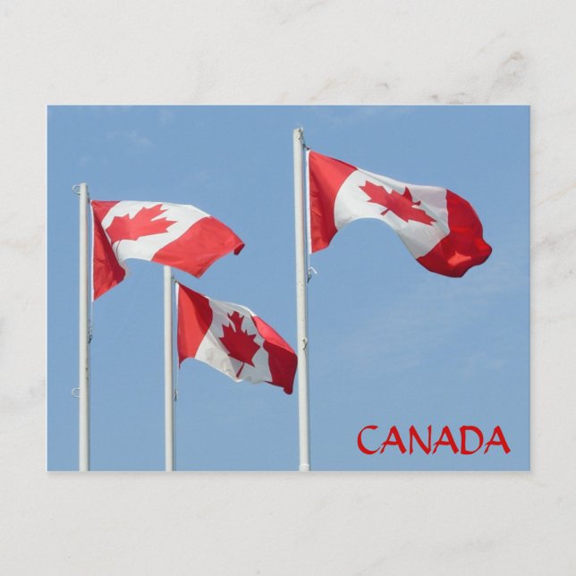 Canada Flag Postcards Canadian Souvenir Postcards (Front)