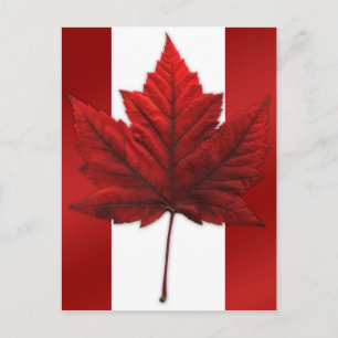 Canada Flag Postcards Canadian Souvenir Postcards