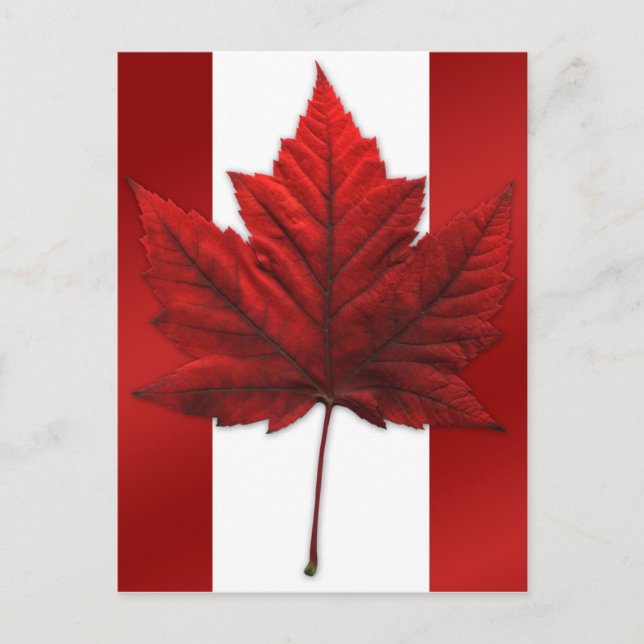 Canada Flag Postcards Canadian Souvenir Postcards (Front)