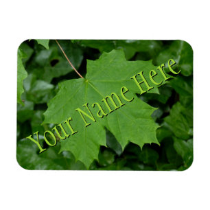 Canada Fridge Magnet Summer Canada Souvenir Magnet
