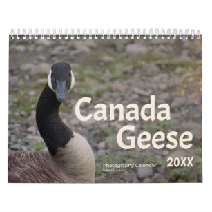 Canada Geese 20XX (1) Calendar
