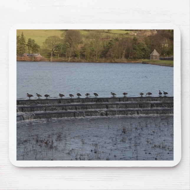 Canada Geese All In A Row Mouse Mat (Front)