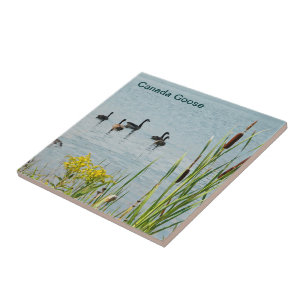 Canada Geese And Cattails Tile