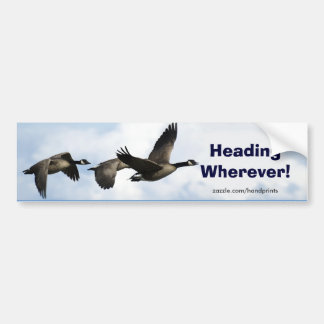 Canada Geese Art Sticker