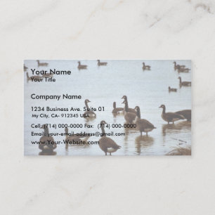 Canada geese at an Ohio wetland area Business Card