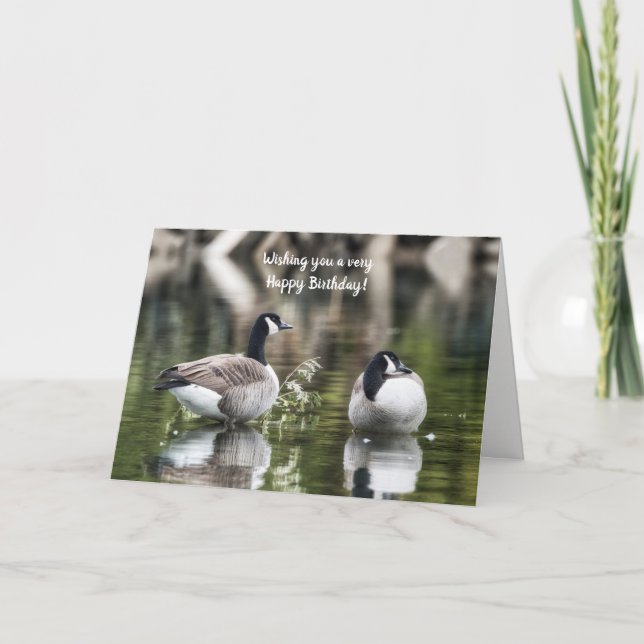 Canada Geese Birthday Card (Front)