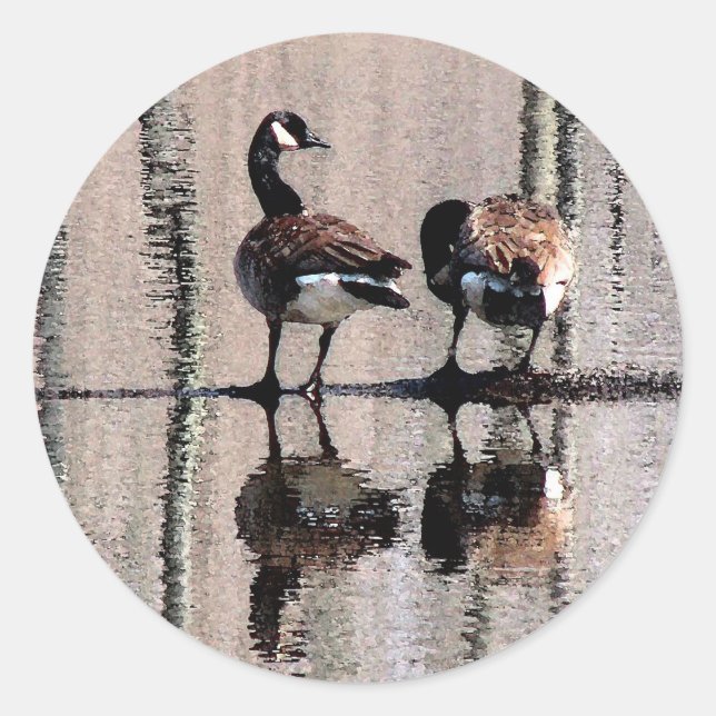 Canada Geese Classic Round Sticker (Front)