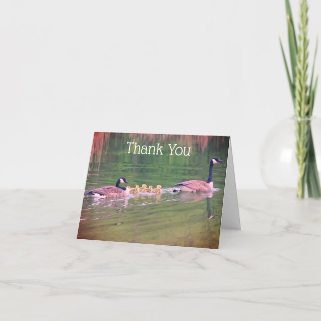 Canada Geese Family Nature Thank You Card (Front)