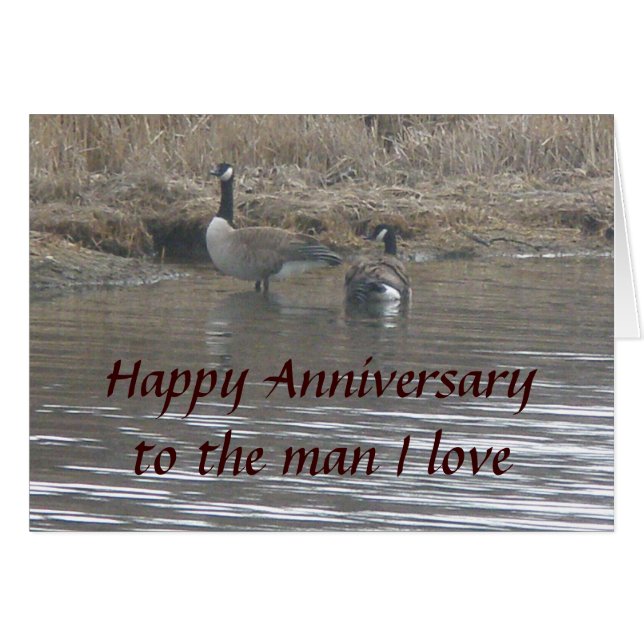 Canada Geese Happy Anniversary Card (Front Horizontal)