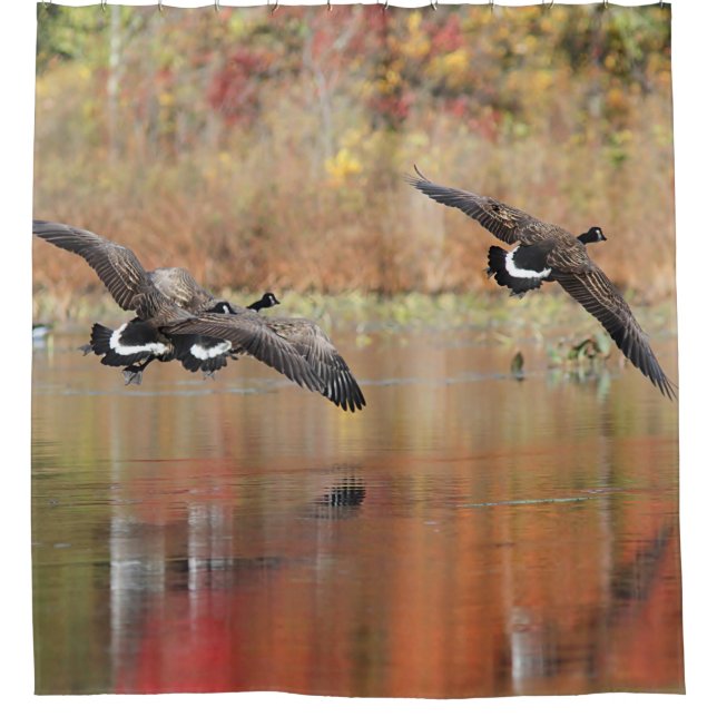 Canada Geese in Flight Shower Curtain (Front)