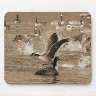 Canada Geese Mouse Mat