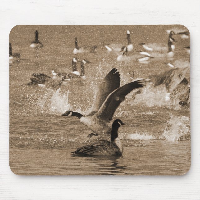 Canada Geese Mouse Mat (Front)