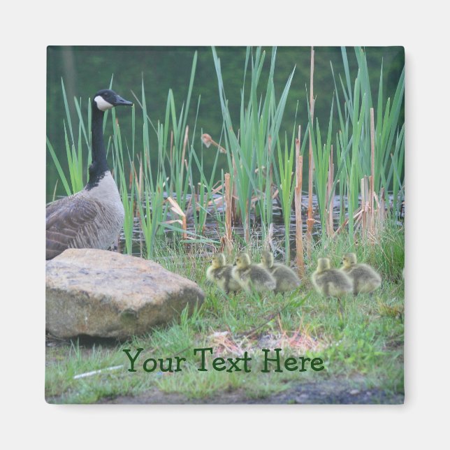 Canada Geese Mum Babies Nature Photo Magnet (Front)