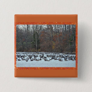 Canada Geese on Green Lane Reservoir 15 Cm Square Badge