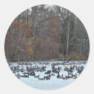 Canada Geese on Green Lane Reservoir Classic Round Sticker