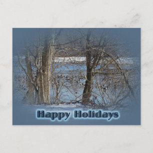 Canada Geese on Green Lane Reservoir Happy Holiday Postcard
