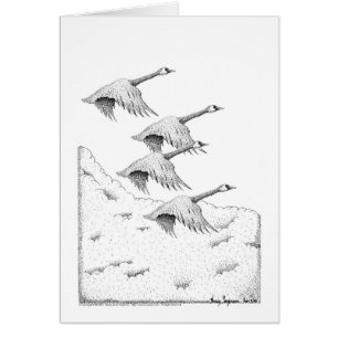 Canada Geese Pen and Ink
