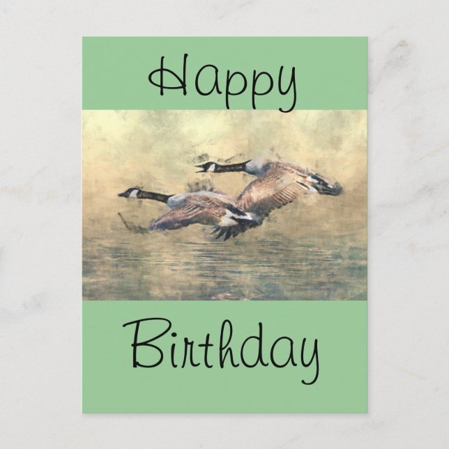 Canada Geese Postcard (Front)