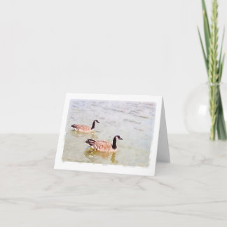 Canada Geese Watercolour Design Notecard