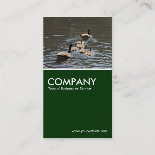 Canada Geese with Goslings - Dark Green Business Card