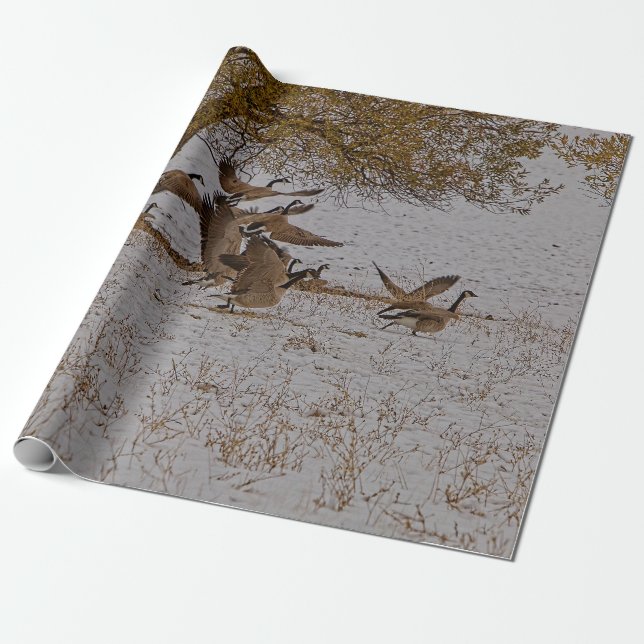 CANADA GEESE WRAPPING PAPER (Unrolled)