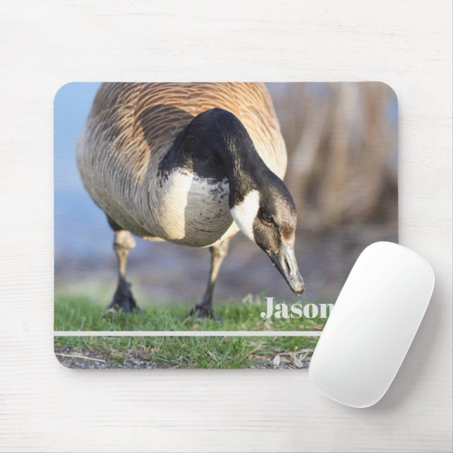 Canada Goos Mouse Mat (With Mouse)