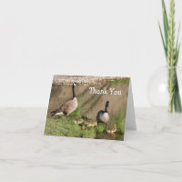 Canada Goose 2 Family Nature Thank You Card