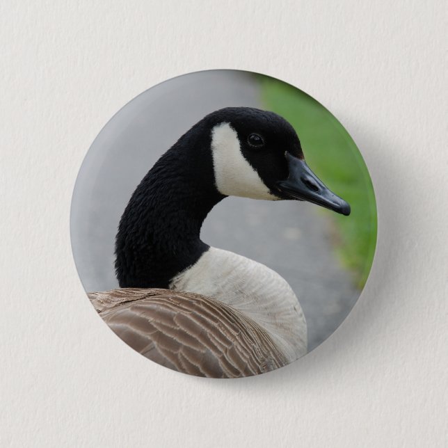 Canada goose 6 cm round badge (Front)
