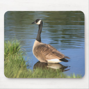 Canada Goose Animal Art Mouse Mat