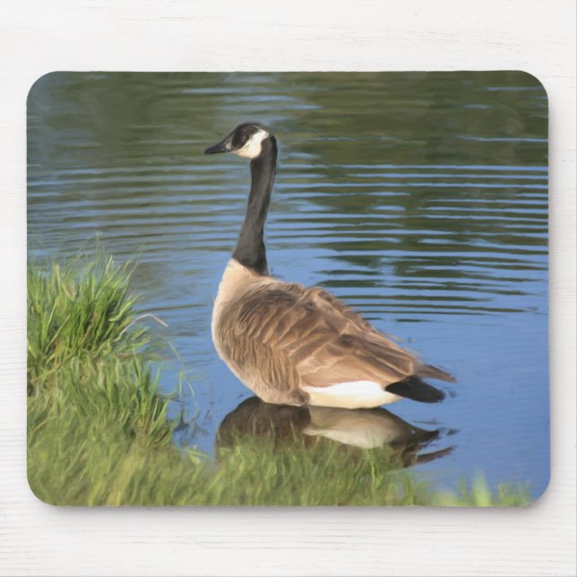 Canada Goose Animal Art  Mouse Mat (Front)