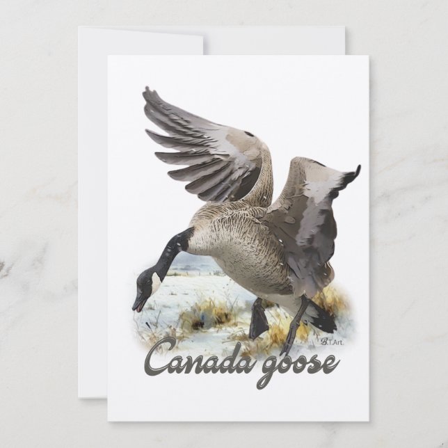 Canada Goose, Art Invitation (Front)