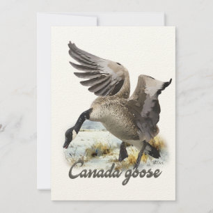 Canada Goose, Art Invitation