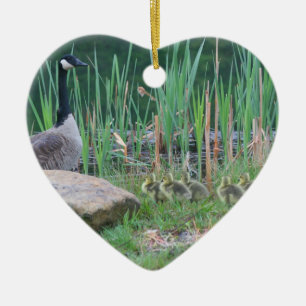 Canada Goose Babies Animal Ornament