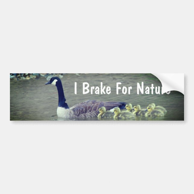 Canada Goose Babies I Brake For Nature  Bumper Sticker (Front)