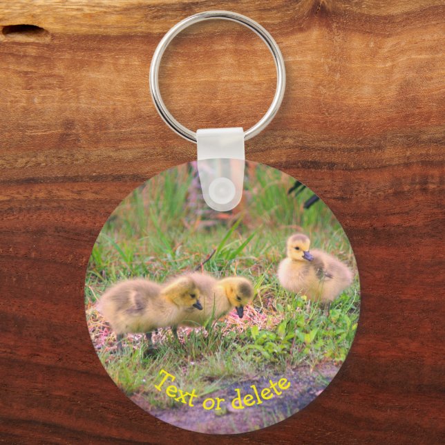 Canada Goose Babies Nature Personalised Key Ring (Front)
