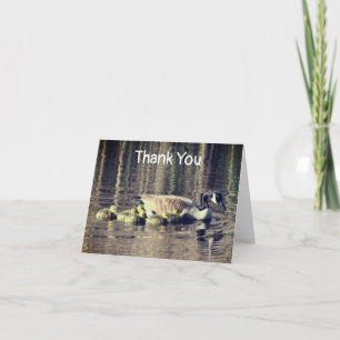 Canada Goose Babies Nature Thank You Card